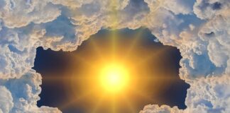 Czy ozon niszczy filtr węglowy?